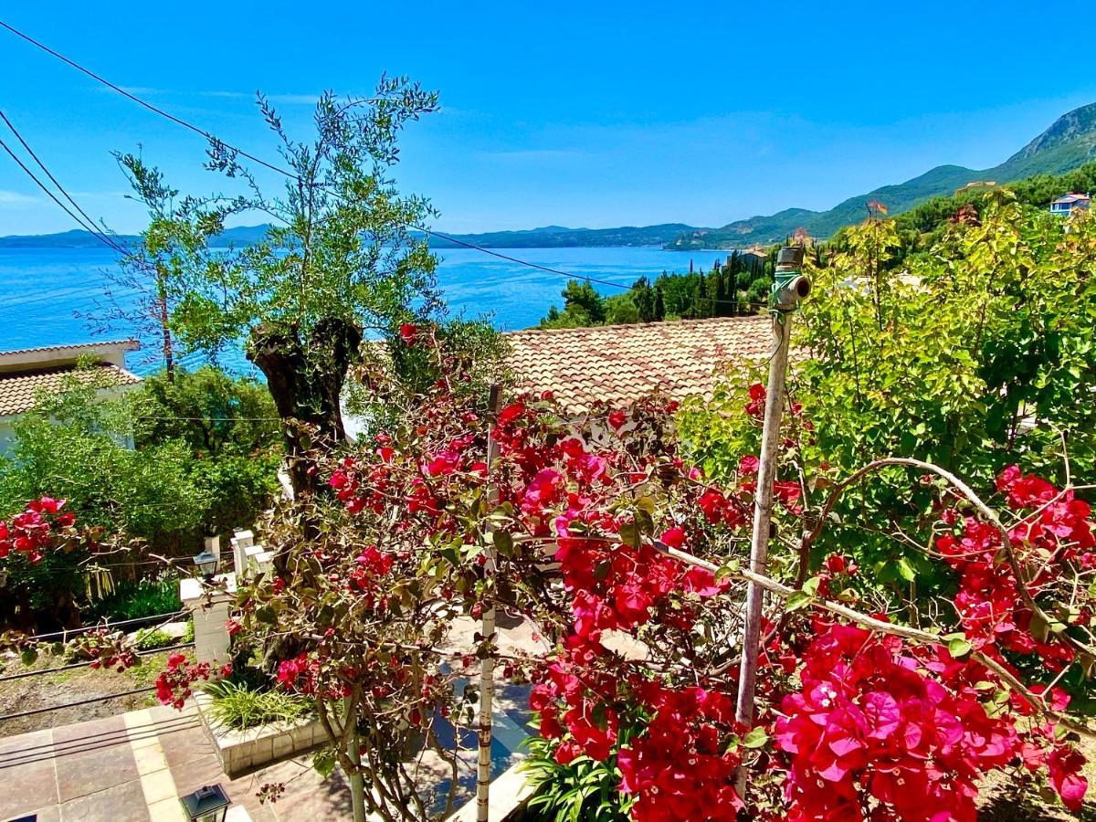 Nissaki Apartments And Vasilis House Nisaki  外观 照片