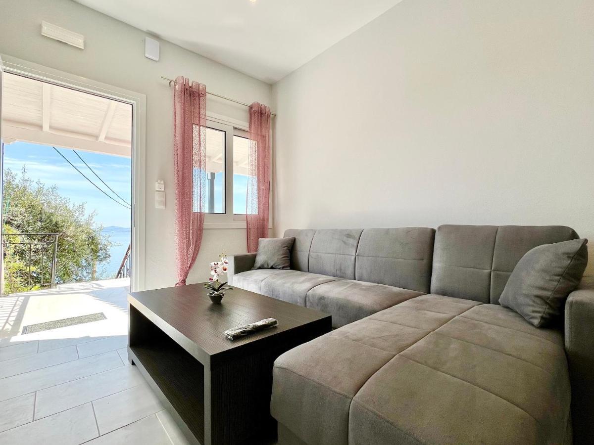 Nissaki Apartments And Vasilis House Nisaki  外观 照片