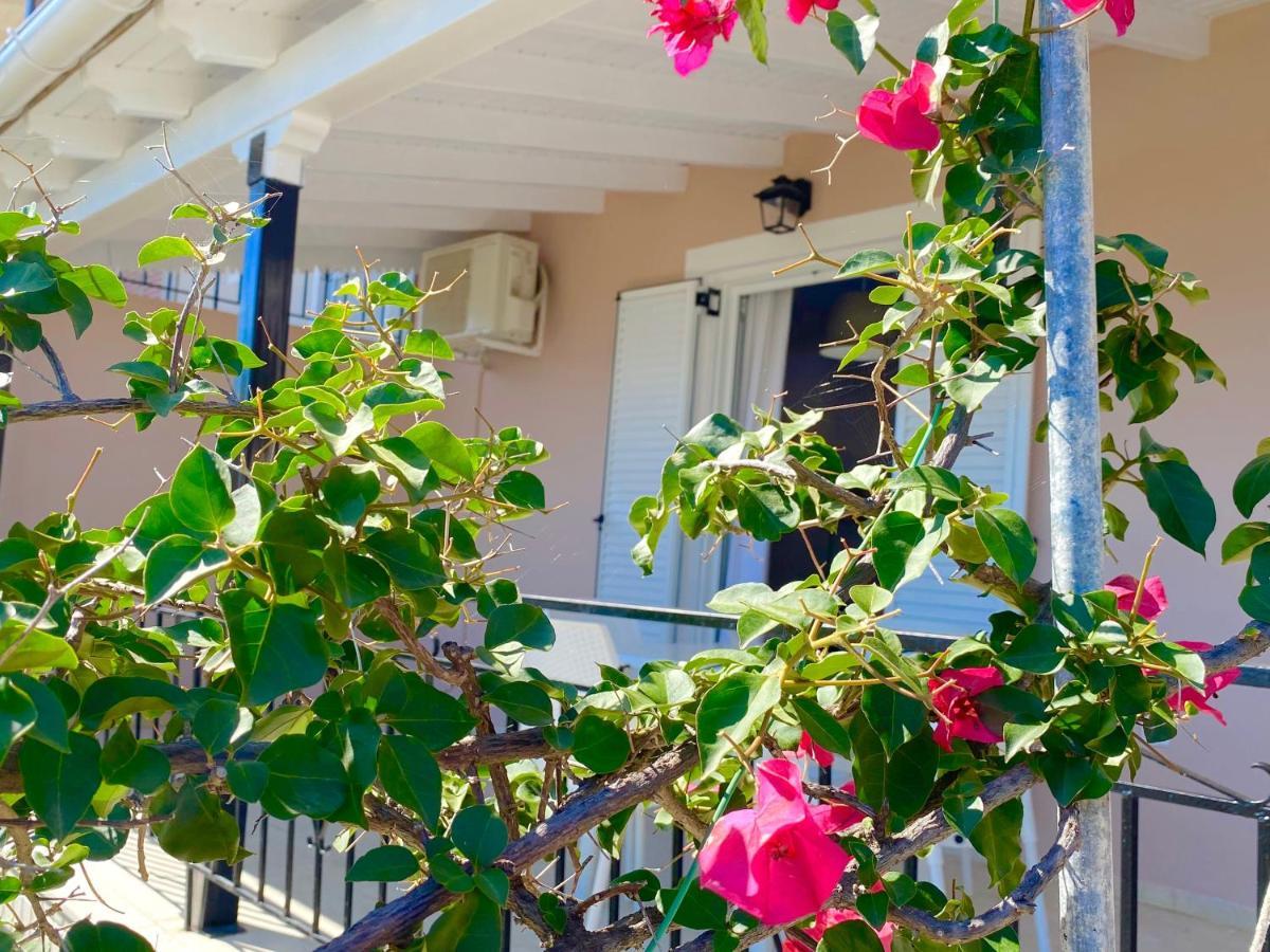 Nissaki Apartments And Vasilis House Nisaki  外观 照片